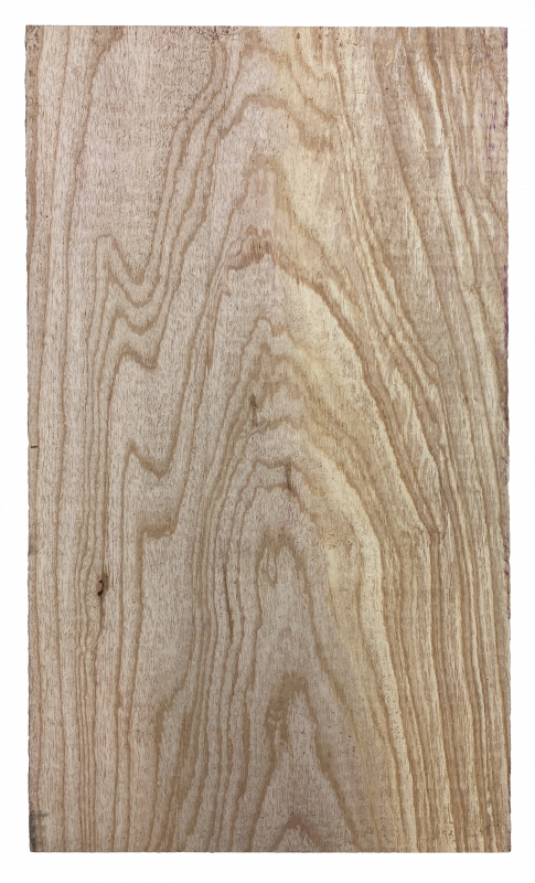 Body Swamp Ash, 1-pc., Unique Piece #197